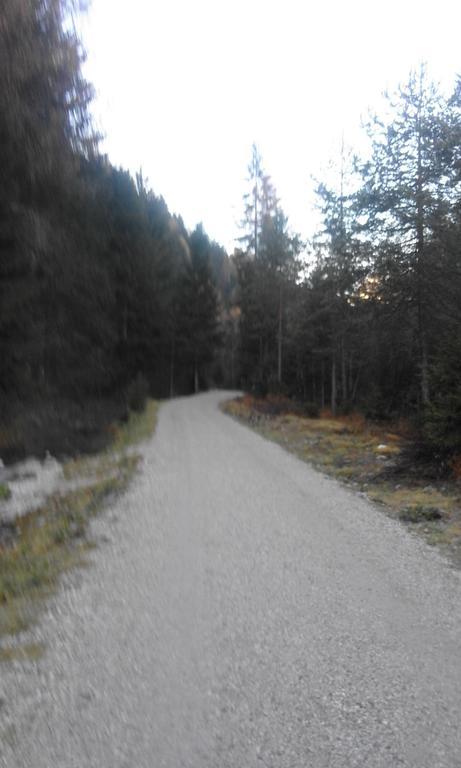 Appartamento Prof. Carlo Pais Auronzo di Cadore Exterior foto